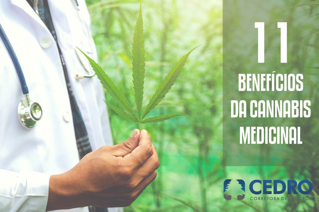 11 Benefícios Da Cannabis Medicinal Blog Cedro 0826