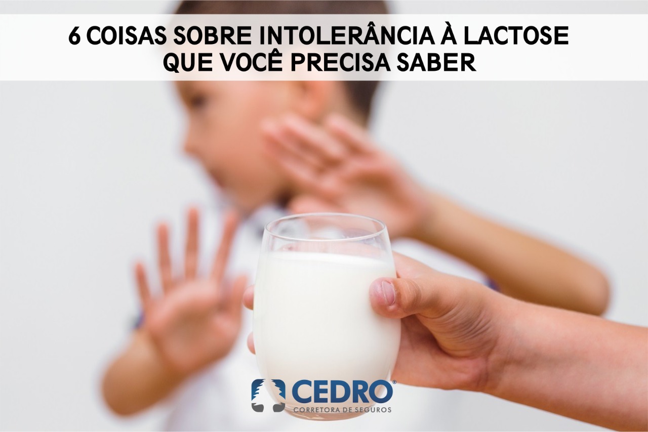 6 Coisas Sobre Intolerância A Lactose Que Você Precisa Saber Blog Cedro 6499